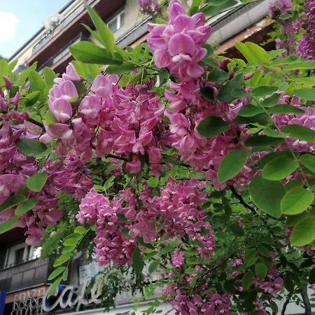 Hotel Pulawska 53